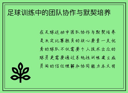 足球训练中的团队协作与默契培养
